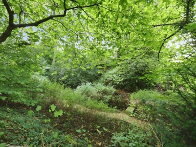 Picture 39